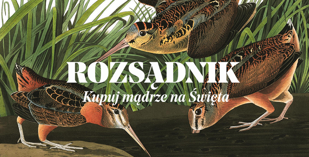 Read full story «Rozsądnik – kupuj mądrze na Święta»
