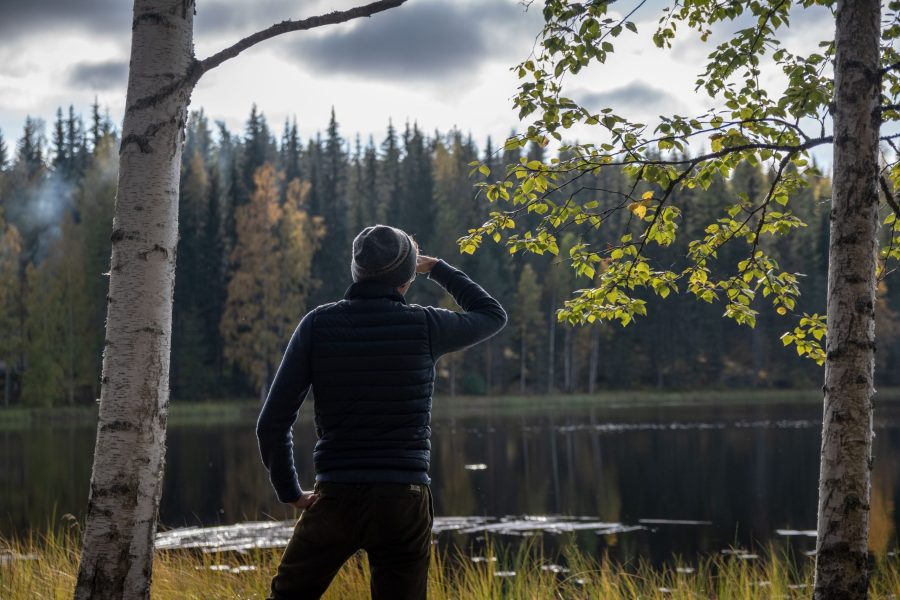 Natura w Finlandii /Olivier Darny, pexels.com